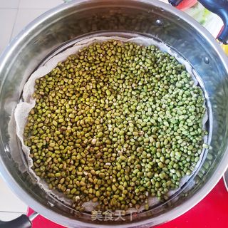 生绿豆芽的做法步骤:3