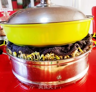 生绿豆芽的做法步骤:10