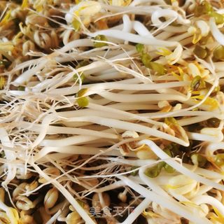 生绿豆芽的做法步骤:11