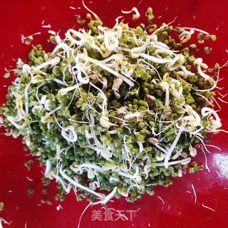 生绿豆芽的做法步骤:15