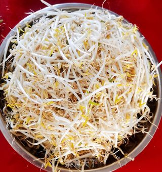 生绿豆芽的做法步骤:16