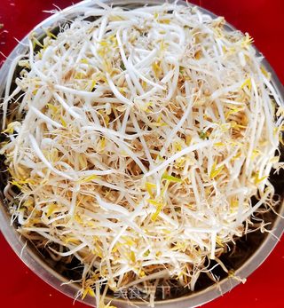 生绿豆芽的做法步骤:17
