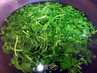 荠菜鲜肉馄饨的做法步骤:3