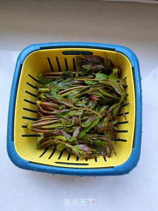 虾皮香椿猪肉馅馄饨的做法步骤:5