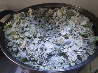 蒸榆钱的做法步骤：4