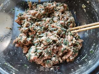 蒲公英猪肉馅包子的做法步骤:7