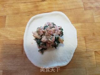 蒲公英猪肉馅包子的做法步骤:10