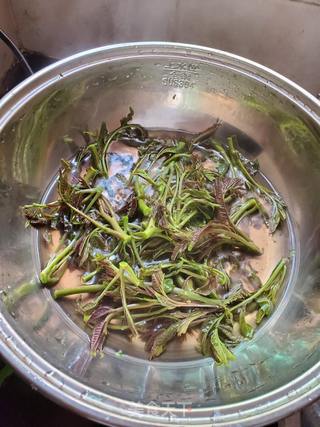 香椿炒鸡蛋的做法步骤:2