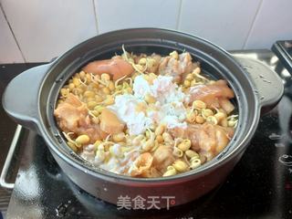 猪脚炖黄豆芽的做法步骤:7