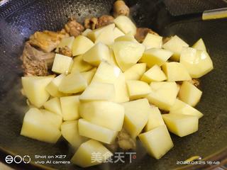 土豆焖鸡块的做法步骤:5