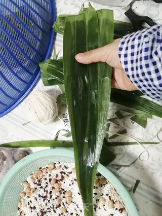 三角粽子的包法的做法步骤:2