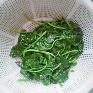 拌菠菜手擀面的做法步骤:5