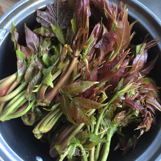 香椿芽拱蛋的做法步骤：1