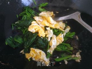 菠菜木耳炒鸡蛋的做法步骤：9