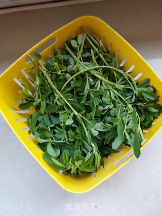 苜蓿肉馅馄饨的做法步骤:3