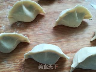 山苜楂菜猪肉水饺的做法步骤:12