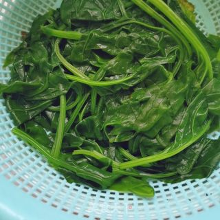 菠菜花朵馒头的做法步骤:3