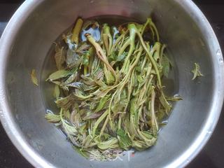 香椿摊鸡蛋的做法步骤:3