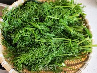 猪肉茴香包子的做法步骤:3