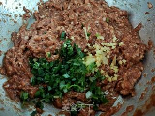 猪肉茴香包子的做法步骤:11