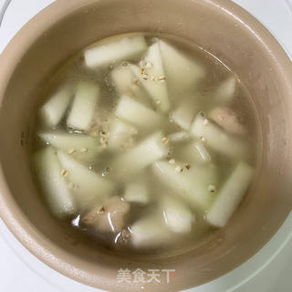 滋阴养胃祛湿--老鸭冬瓜薏米汤的做法步骤:9