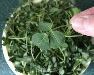 苜蓿鸡肉包子的做法步骤:4