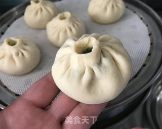 苜蓿鸡肉包子的做法步骤:15