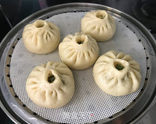 苜蓿鸡肉包子的做法步骤:16
