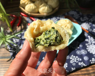 苜蓿鸡肉包子的做法步骤:18