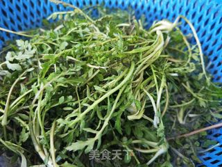 荠菜干豆腐卷的做法步骤:3