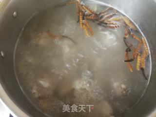 虫草枸杞排骨汤的做法步骤:9