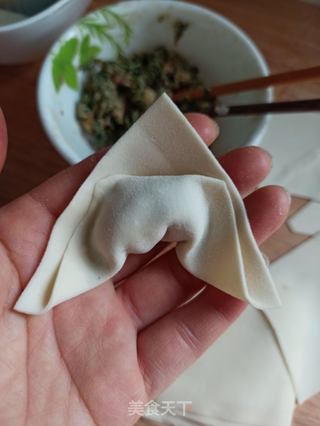 三种荠菜鲜肉馄饨的包法的做法步骤:7