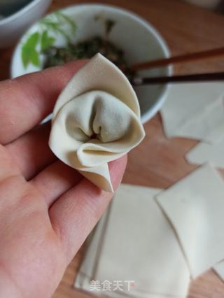 三种荠菜鲜肉馄饨的包法的做法步骤:8
