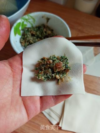 三种荠菜鲜肉馄饨的包法的做法步骤:13