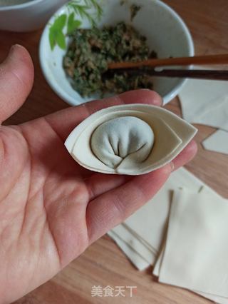 三种荠菜鲜肉馄饨的包法的做法步骤:15