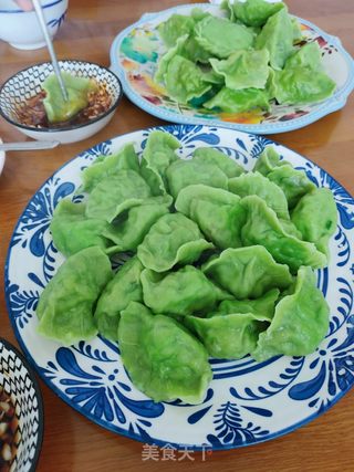 槐花猪肉水饺的做法步骤:19