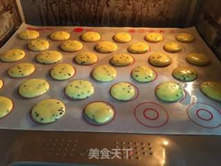 蛋黄小饼干的做法步骤:8