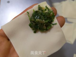猪毛菜肉馅馄饨的做法步骤:6