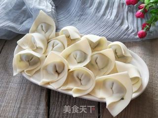 猪毛菜肉馅馄饨的做法步骤:8