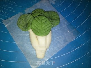 白菜馒头的做法步骤:6