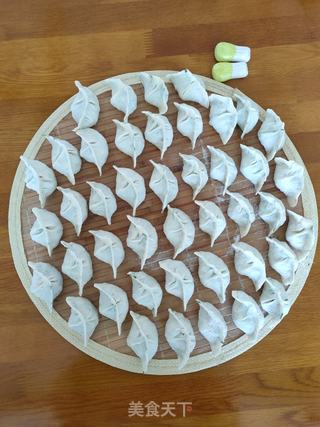 茴香粉条素馅饺子的做法步骤:11