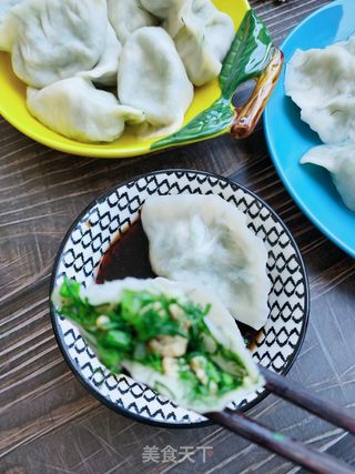 茴香粉条素馅饺子的做法步骤:17