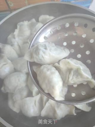 茴香粉条素馅饺子的做法步骤:14