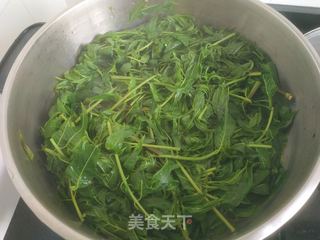 香椿鸡蛋馅饺子的做法步骤：3