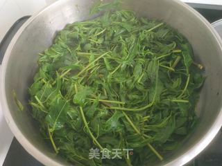 香椿鸡蛋馅饺子的做法步骤:3