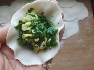 香椿鸡蛋馅饺子的做法步骤:13