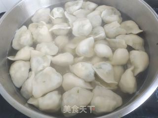 香椿鸡蛋馅饺子的做法步骤：15