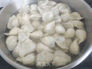 香椿鸡蛋馅饺子的做法步骤:15