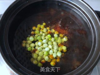 玫瑰桃胶羹的做法步骤:11