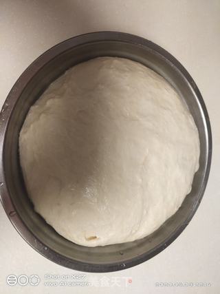 香葱肉松面包的做法步骤:5